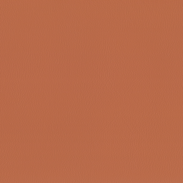 T55.png