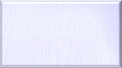 T11.png